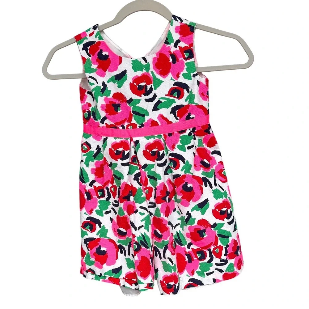 The Childrens Place Girls 5T Floral Rose Pink Ribbon Sleeveless Party Dress - Picture 1 of 4